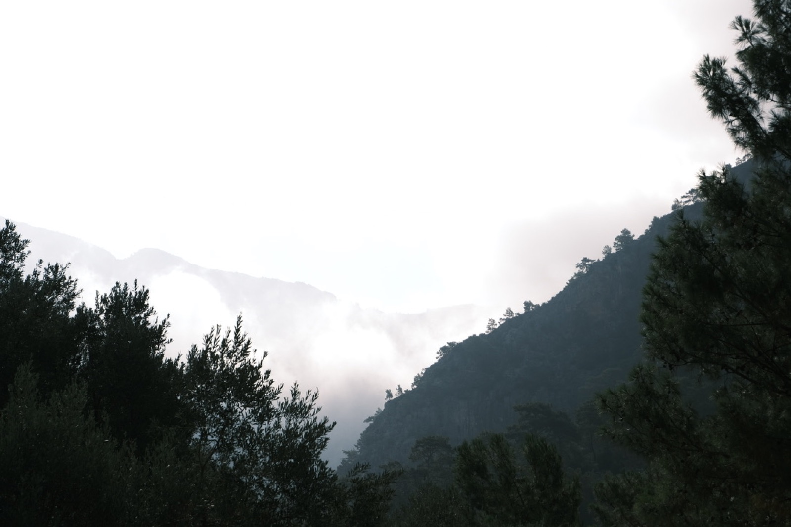 Photograph by Onur Demirezen — Işık Çizgi